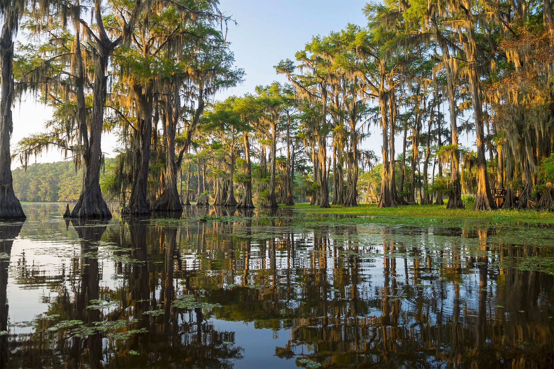 voyage avion france louisiane