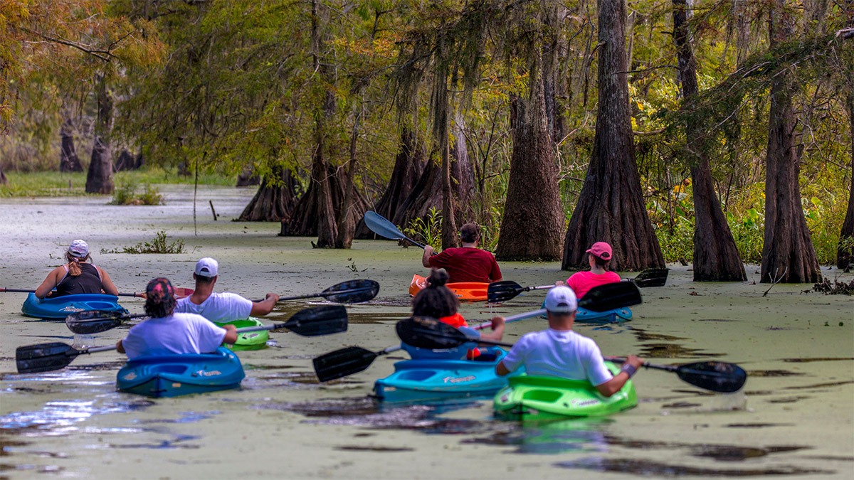 lafayette marais atchafalaya